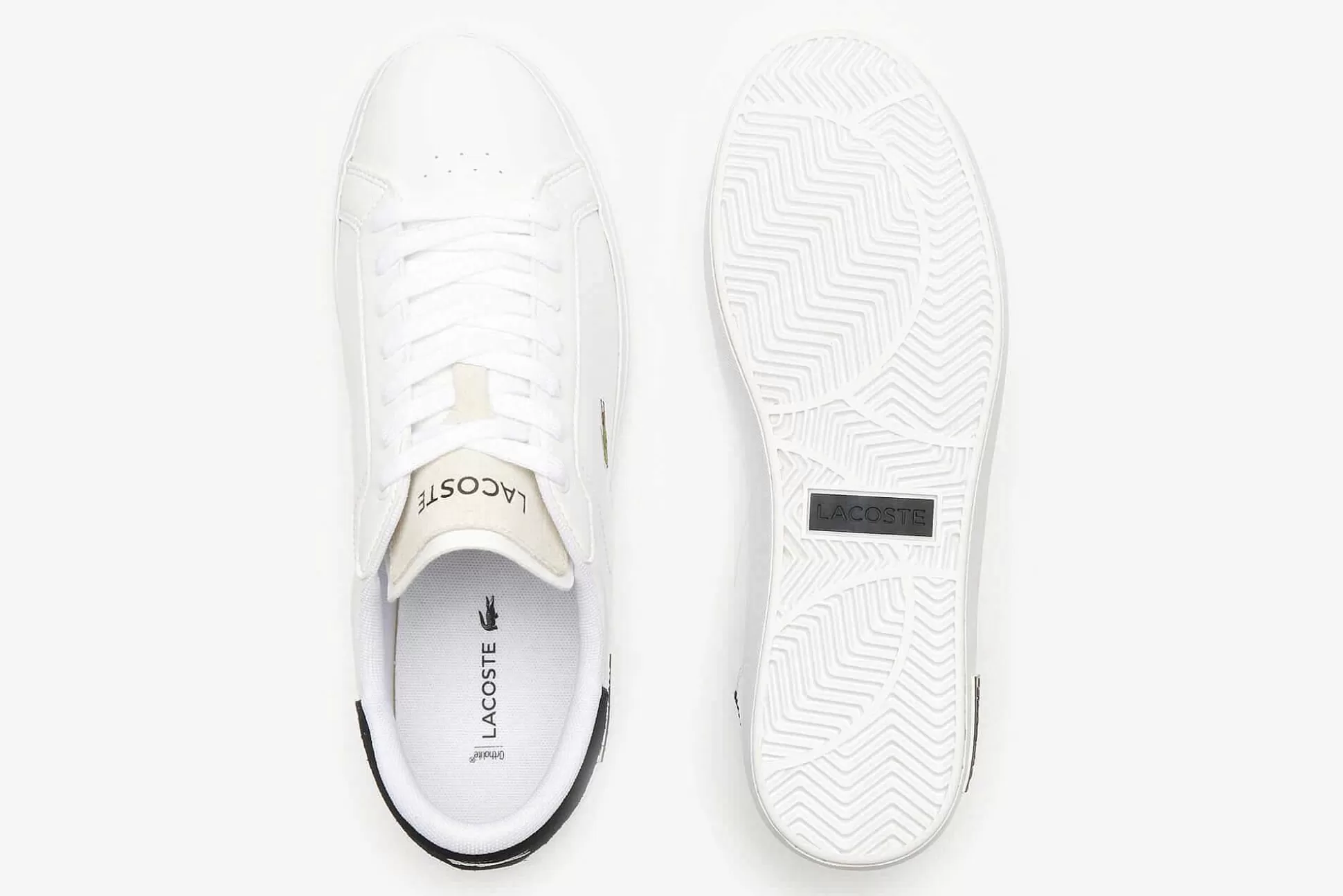 Hombre Lacoste Zapatillas^Zapatillas Powercourt